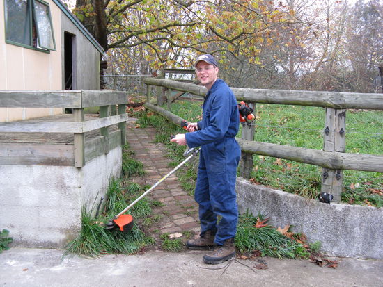 Erste Tests mit der Motorsense....