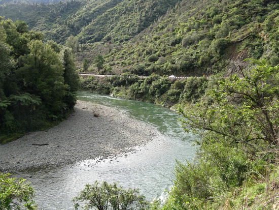 Der Fluss begleitet mich auf der Strasse durch die "Waireka Gorge".