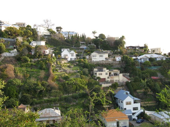 Das Andere "Napier". Das Viertel am "Bluff Hill".