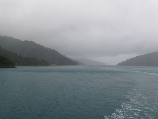 Im "Queen Charlotte Sound", kurz vor "Picton".