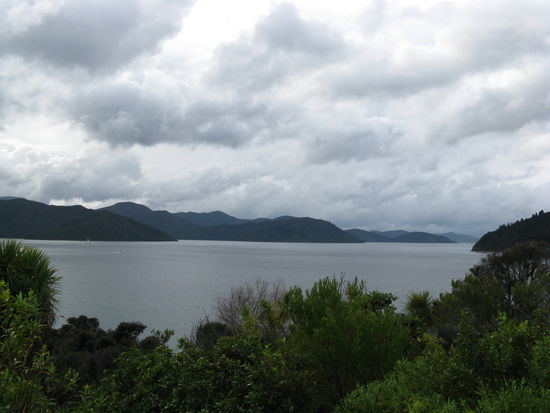 Blick vom "Waikawa Lookout" auf den "Queen Charlotte Sound".