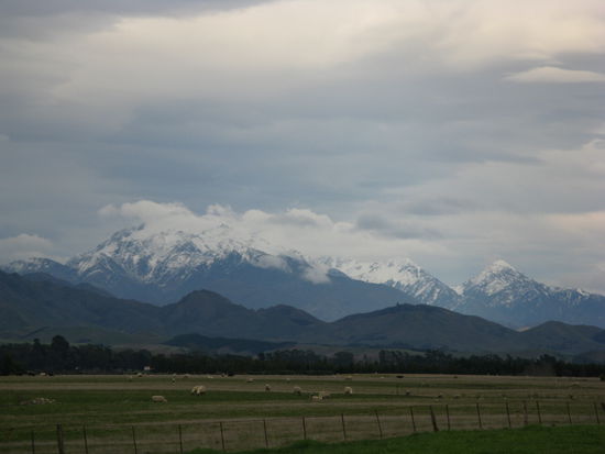 Panorama auf dem Weg nach "Kaikoura"