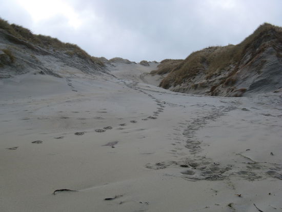 Auf gehts zum "Sandymount".