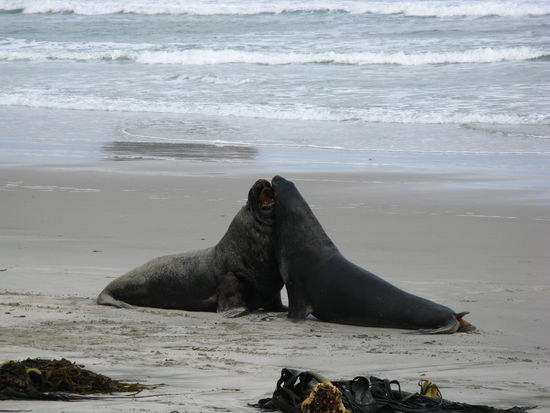 ...und streiten oder kuessen sich!?