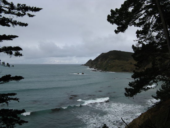 Auf dem Weg zum Kap am "Nugget Point".
