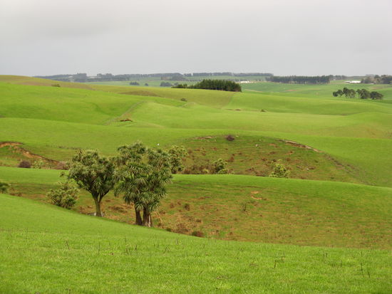 Das Gruen der Wiesen ist kaum zu glauben.