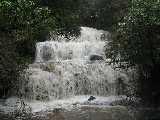 Die „Parakanui Falls“.