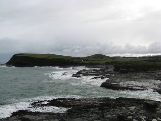 Tosende Wellen an der "Porpoise Bay".