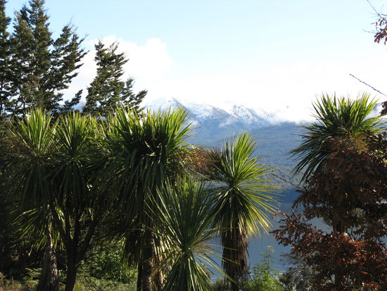 Eine kontrastreiche Landschaft ist in Neuseeland an der Tagesordnung.
