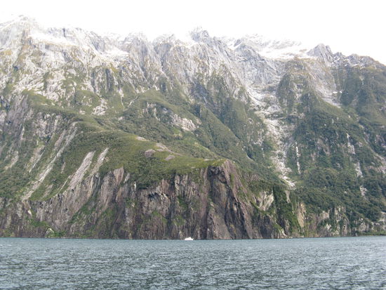 Im "Milford Sound" - Bild 2.