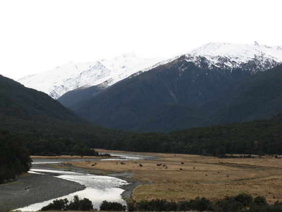 Auf dem Weg zur "West Coast" am "Haast Pass".