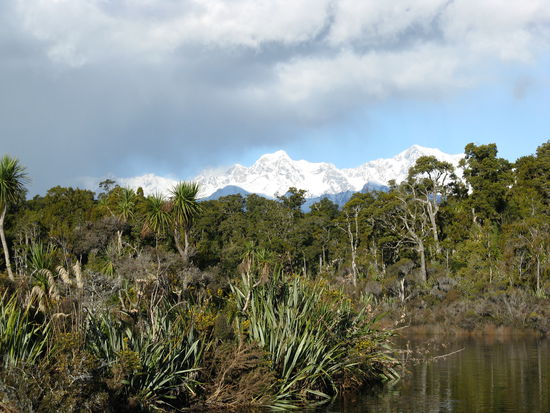 Regenwald mit Bergpanorama. Wanderung zum "Galway Beach".