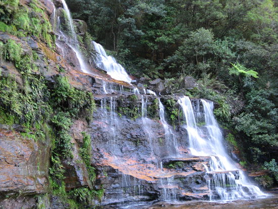 Am Fusse der Katoomba Falls im Jamison Valley