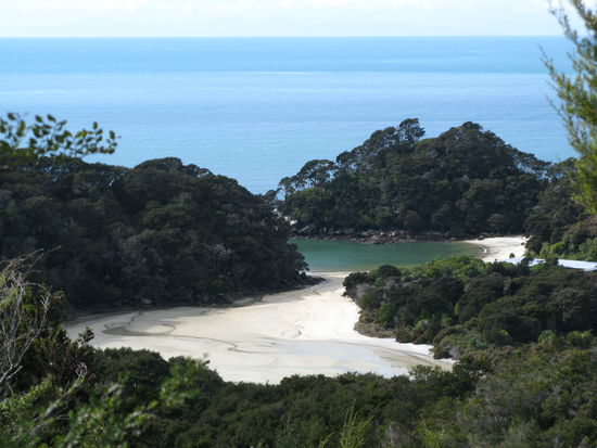 Eine von zahlreichen kleinen Buchten im "Abel Tasman National Park".