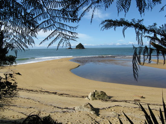 Fantastische Straende auf dem ganzen "Coastal Track".