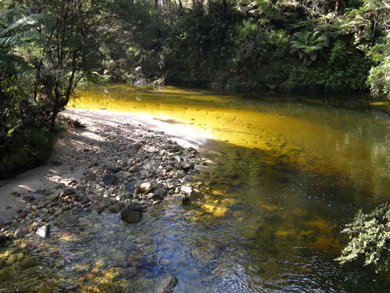 Selbst das Wasser mancher kleiner Baeche schimmert im Sonnenlicht golden.