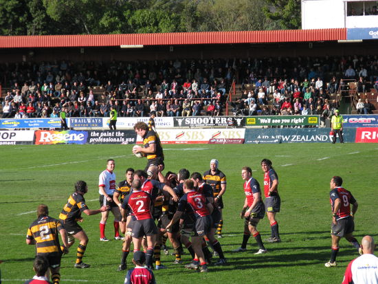 Rugby, der Nationalsport der Kiwis am Beispiel der "Tasman Marcos" gegen "Taranaki".
