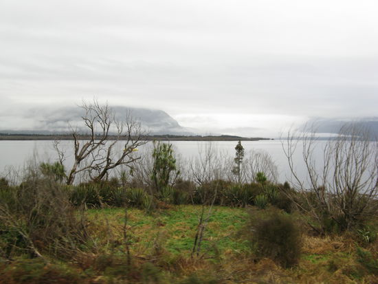 Der "TranzAlpine" zieht am "Lake Brunner" vorbei.