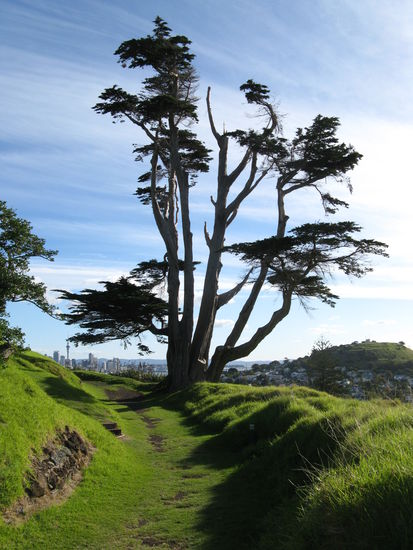 North Head in Devenport