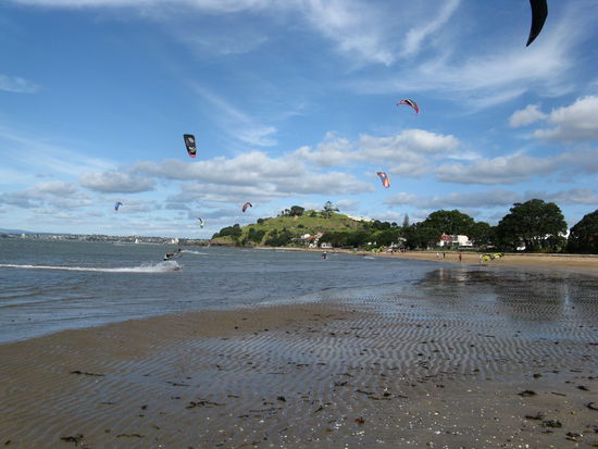 Strand in Devenport mit Kite-Surfern