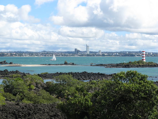 Auf Rangitoto Island
