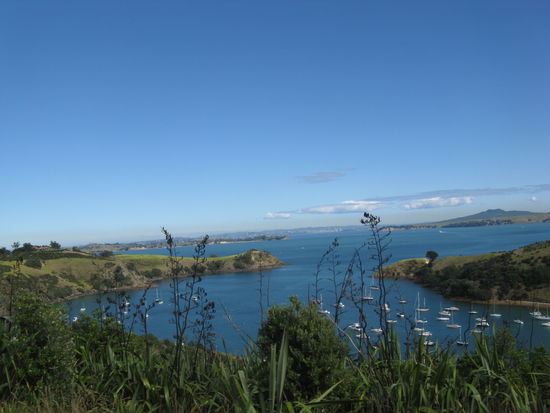 Matiatia Bay auf Waiheke Island