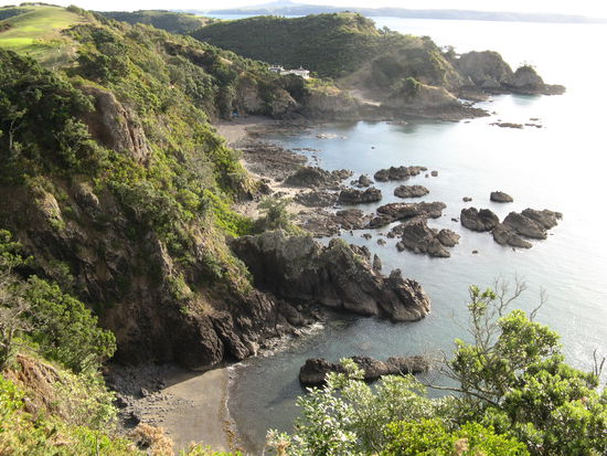 Auf dem Track von Oneroa nach Matiatia Bay