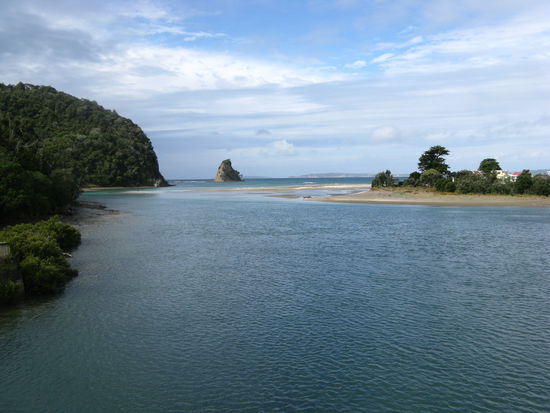 Im Wenderholm Regional Park nahe Waiwera