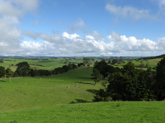 Landschaftsbild auf dem Weg entlang der Ostkueste Richtung Norden