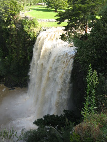 Whangarei Falls