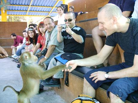The Monkey Show