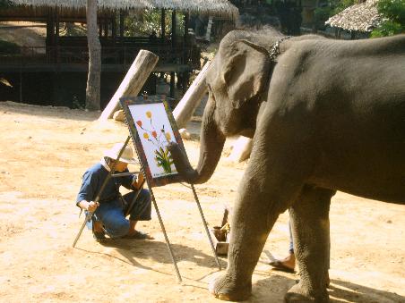 Elefant als Kuenstler