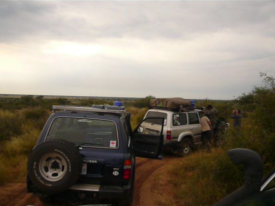Unsre Vierradies im Khtzi Game Reserve, Bots