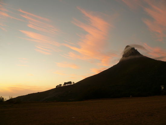 Lionshead mit Wolkenbart