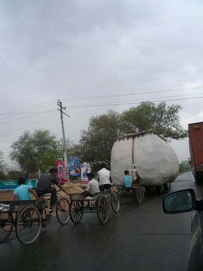 Ganz schoen gewitzt- oder faul..?