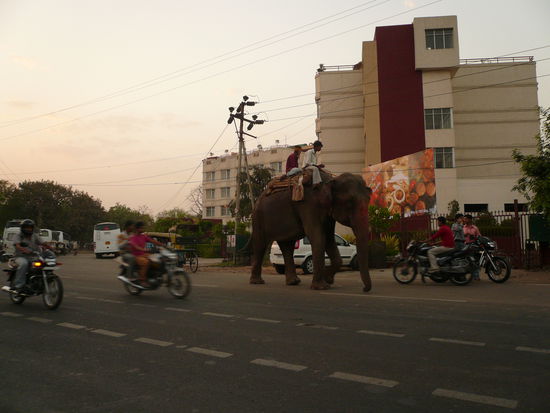 Voellig normal,mmh klar...