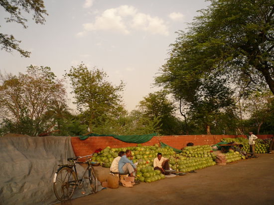 Wassermelonen ohne Ende- Bin ich im Paradies?!!