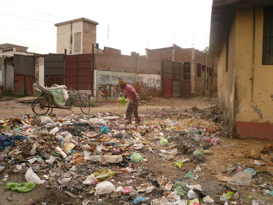 Leider auch ein typischer Anblick- imagine the smell,or better don`t!