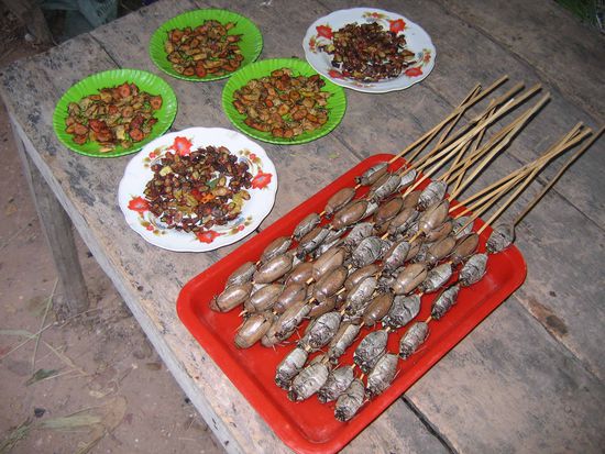 Ist doch nur ein McKäfer-Burger.