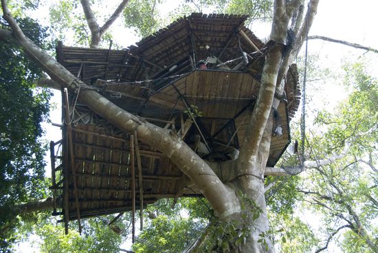 Das kleine runde Loch (sieht man kaum) war der Ausgang unserer Toilette. Falls ihr mal unter solch einem Baumhaus stehen solltet und hört ein Rauschen, habt ihr noch 3,5 Sekunden Zeit bis zum Aufschlag!