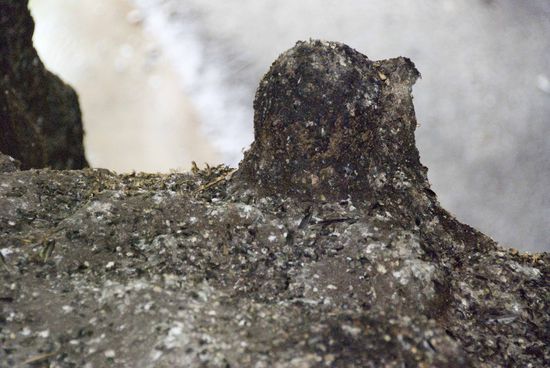 Durch diese Kacke musst du gehen …