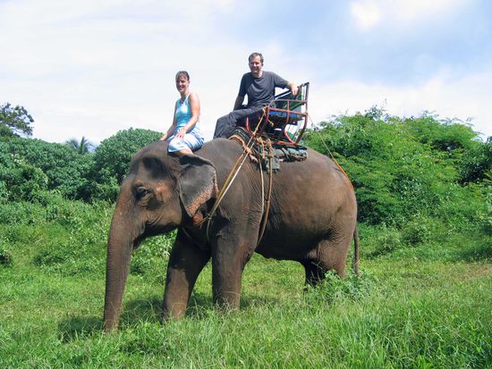 Dieses nette Tierchen hatte eine ganz schön borstige Haut.