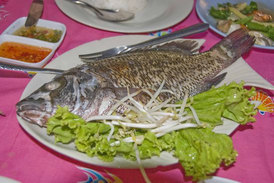 Ja, heute war Fischtag. Erst fütterten wir die Fische, dann futterten wir sie am Strand von Ao Nang.