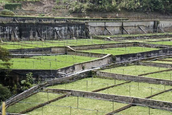 Jede Menge Obst- und Gemüseplantagen…