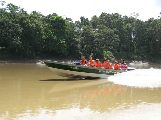Yipieeh, action! Am Kinabatangan River.