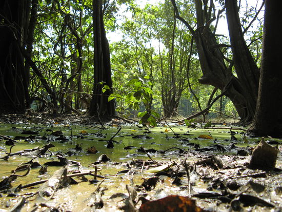 … Platsch, Matsch!