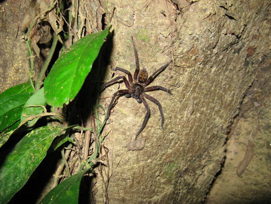An dieser Stelle geht ein Dank an Michael, wir haben Bilder ausgetauscht und einige von ihm hier eingebaut. Viele Grüße an euch nach München!