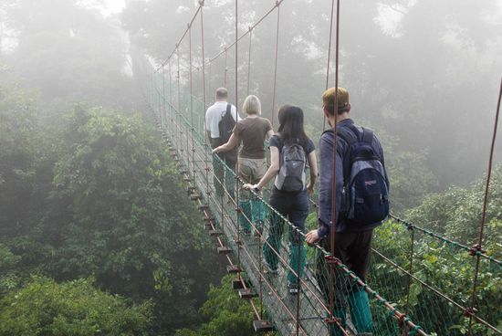 Diverse Wanderungen führten uns u.a. auf Hängebrücken über Baumwipfeln. Diese grünen Dinger an den Beinen sind übrigens Blutegelsocken, diese kleinen Viecher krabbeln einem sonst wo hin, die Socken sollen das verhindern.