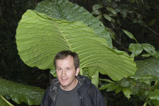 Falls es mal regnen sollte, gibt es ja immer noch diese Blätter als Regenschirmersatz.