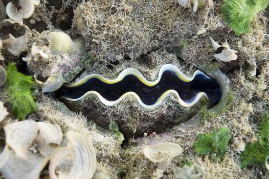 Am Korallenriff. Es ist schwierig eine Bilderauswahl zu treffen, wir möchten ja auch nichts vorenthalten.